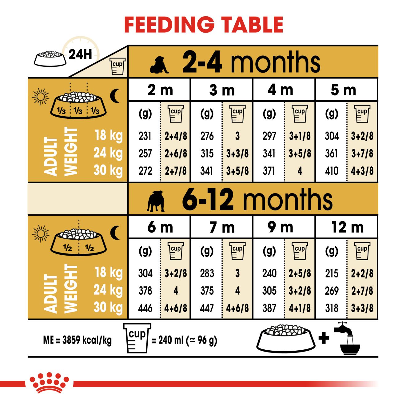 Royal Canin English Bulldog Puppy Dry Dog Food