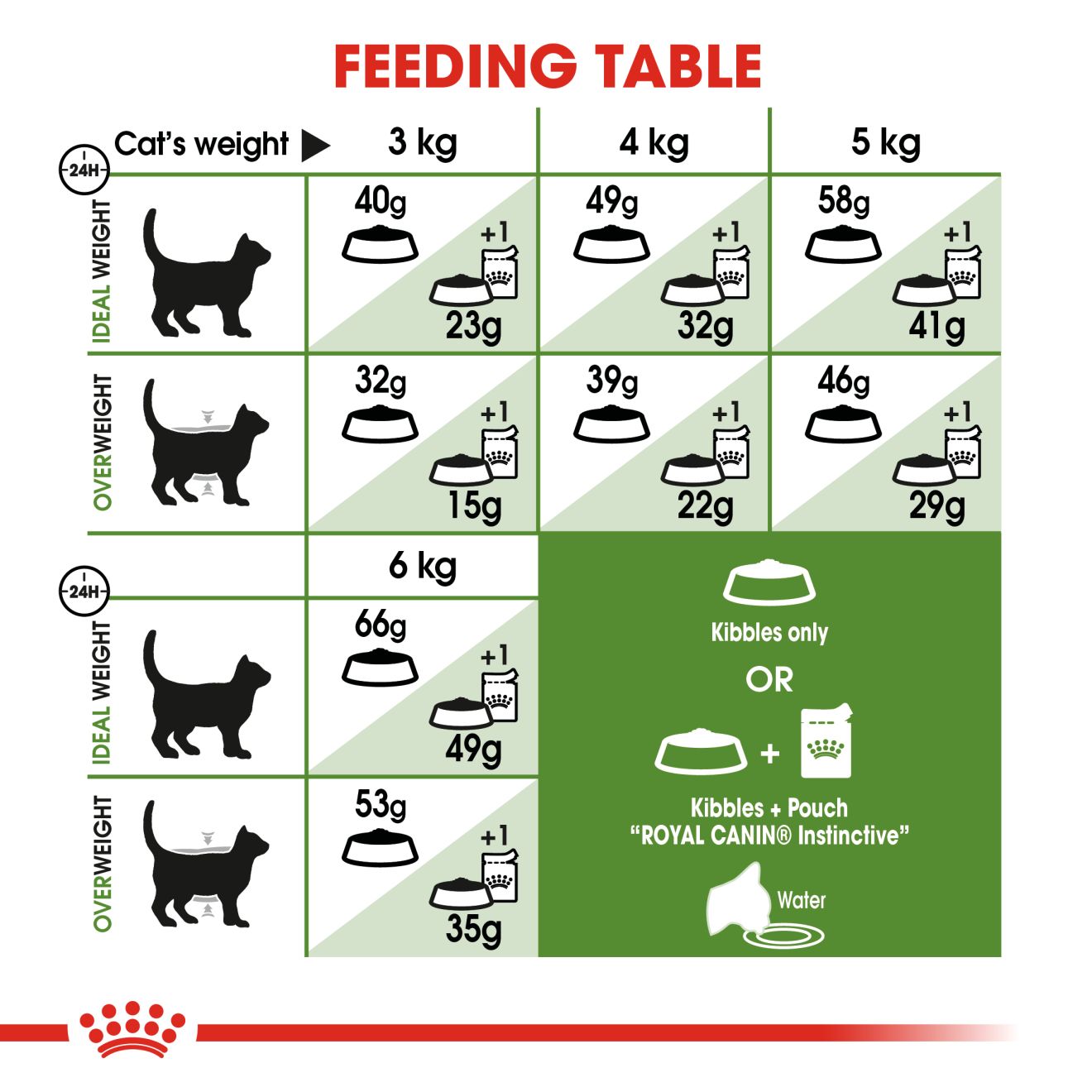 Royal Canin Feline Outdoor Dry Cat Food