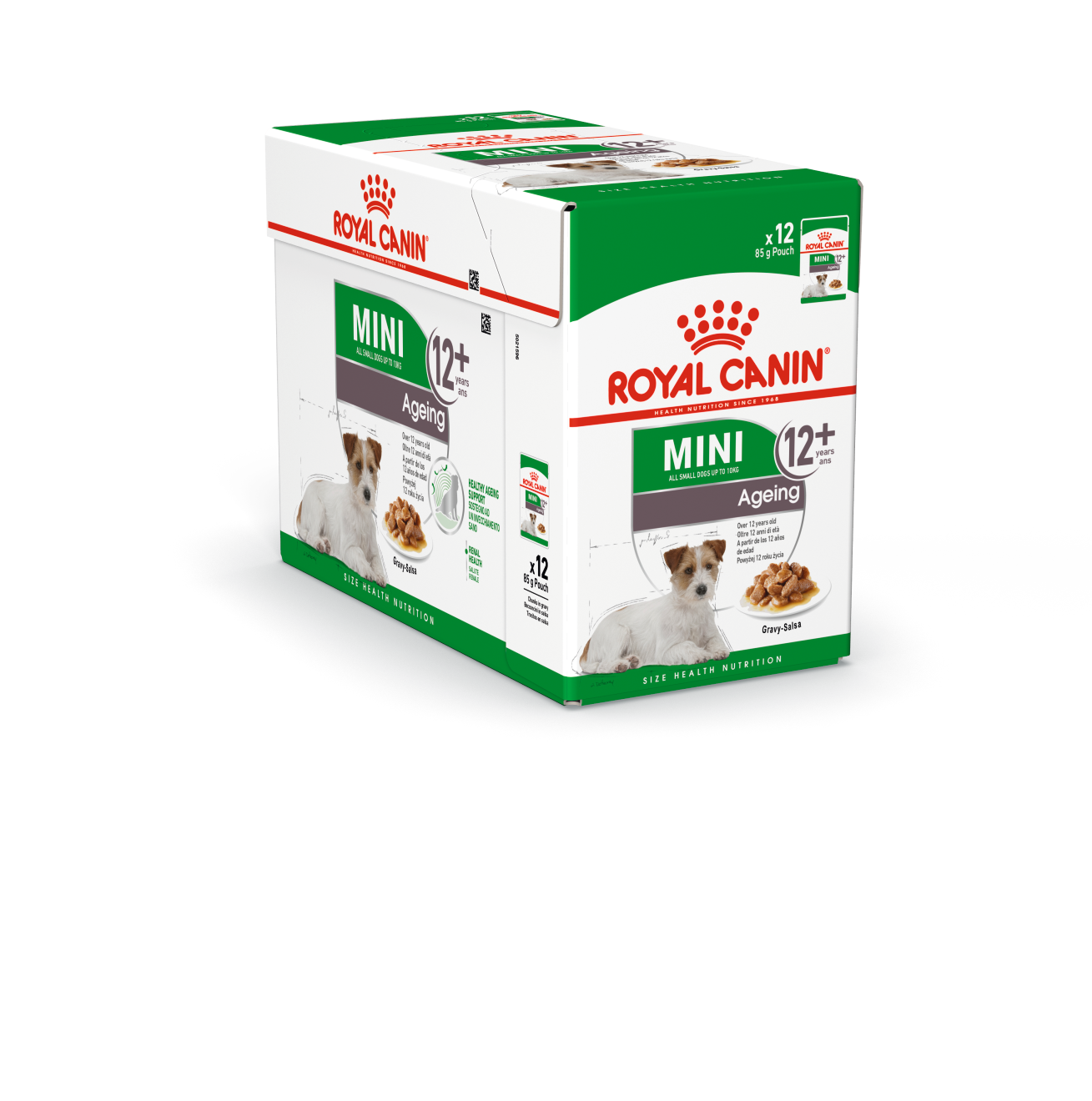 Royal Canin Mini Ageing 12+ Wet Dog Food