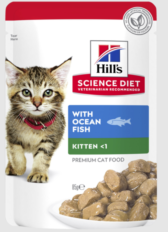 Hills Wet Kitten Food- Ocean Fish