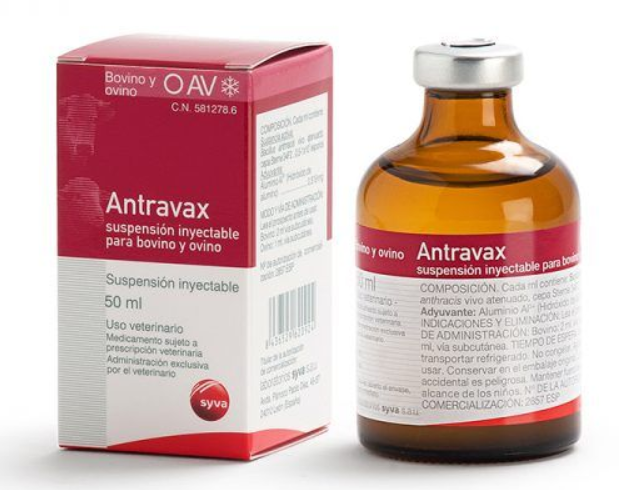 Anthravax Vaccine