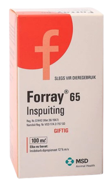 Forray 65