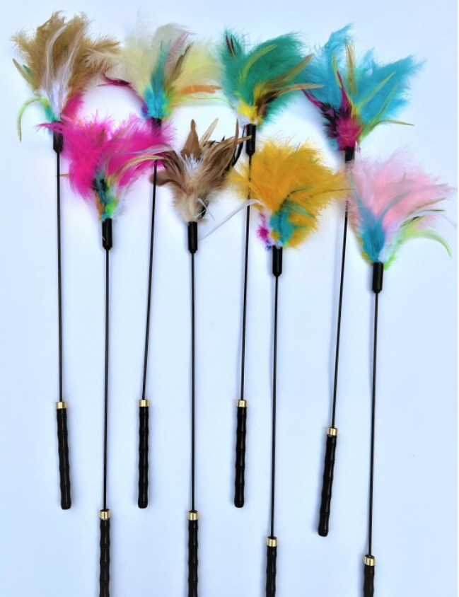 Feather Wand Cat Toy