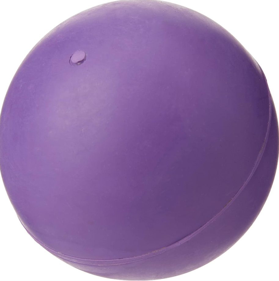 Vinyl Dog Ball