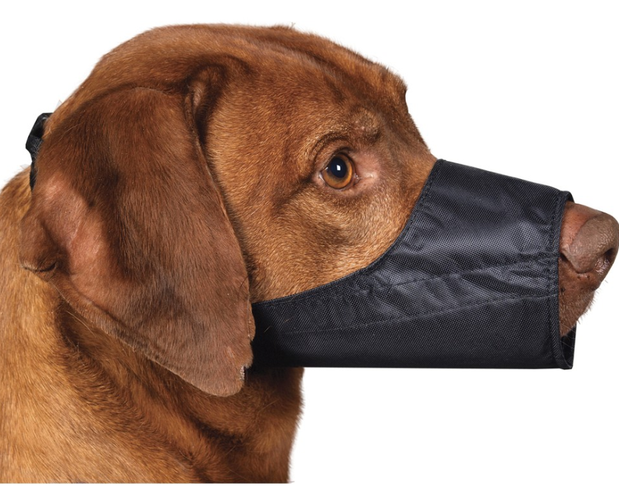Nylon Muzzle