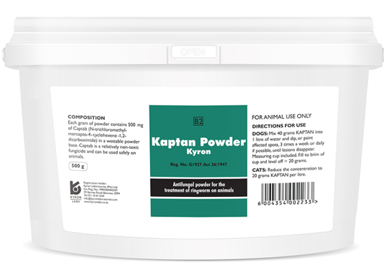 Kaptan Powder