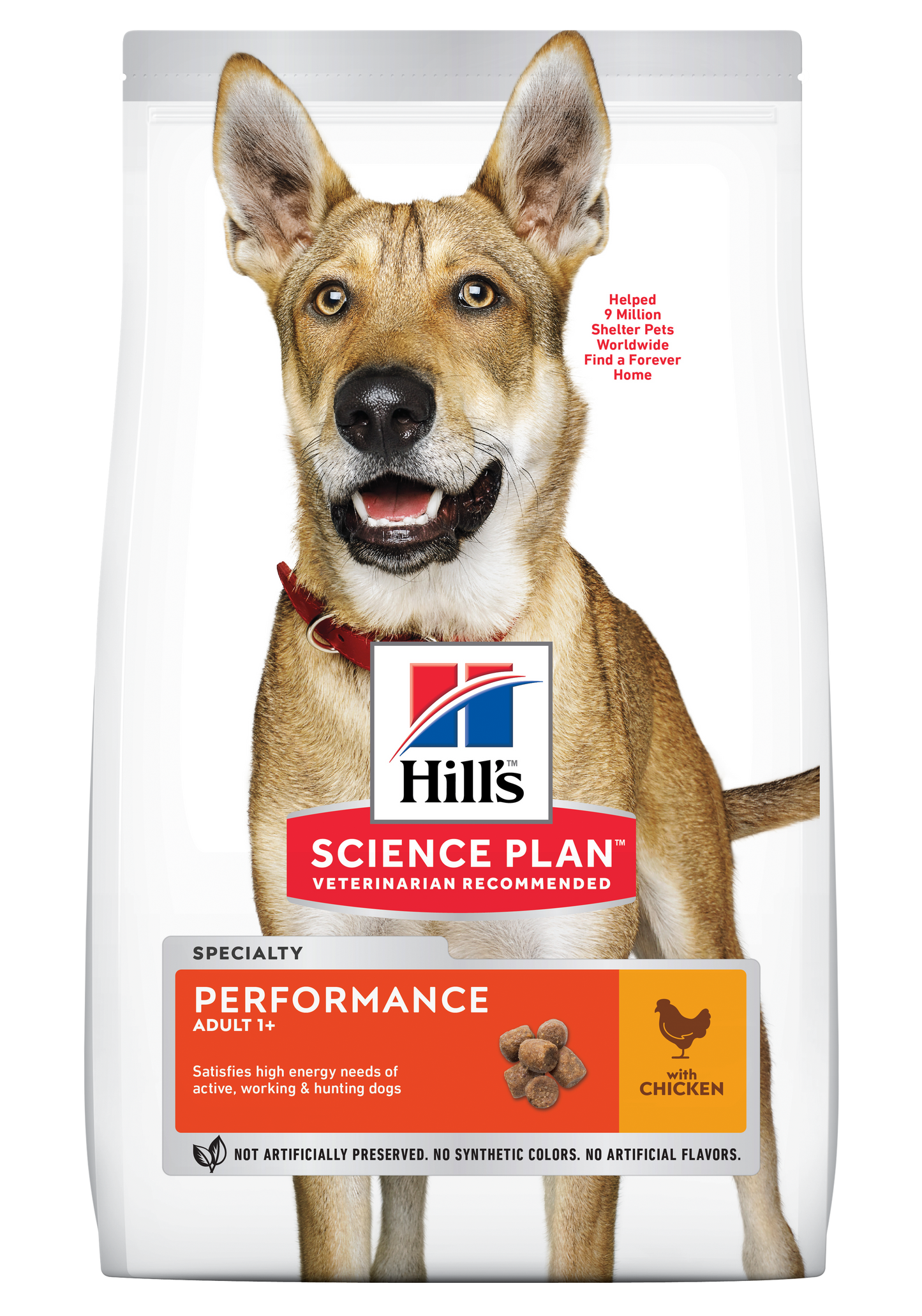 Hills Science plan Adult Performance Dry Dog Food Chicken Flavour
