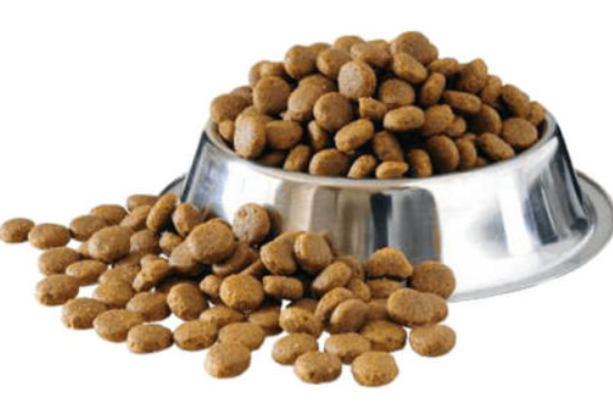 Dry Dog Food (Kibble)