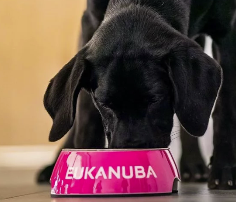Eukanuba Dog Food