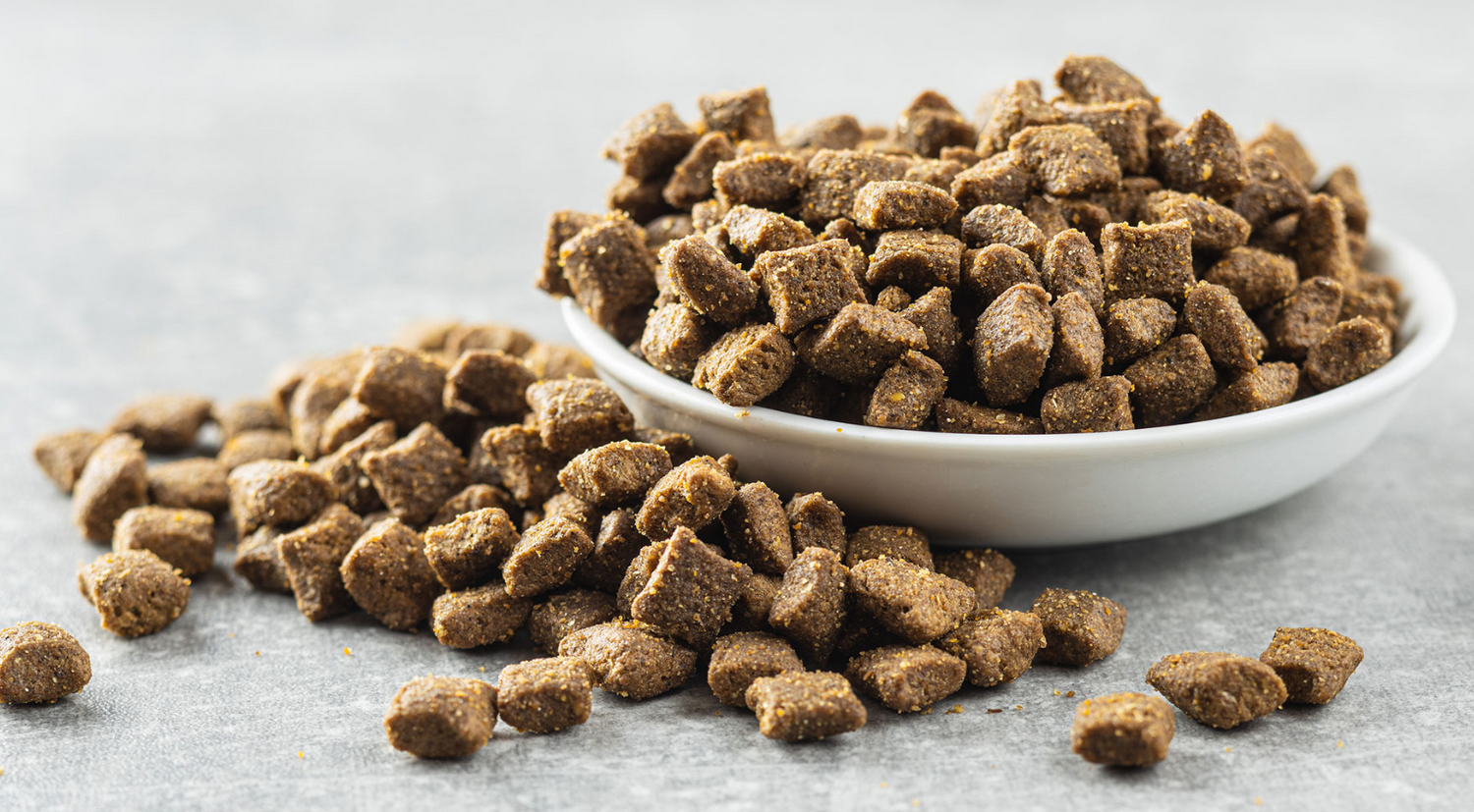 Dry Cat Food (Kibble)