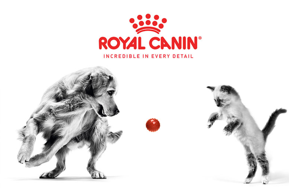 Royal Canin Dry Dog Food