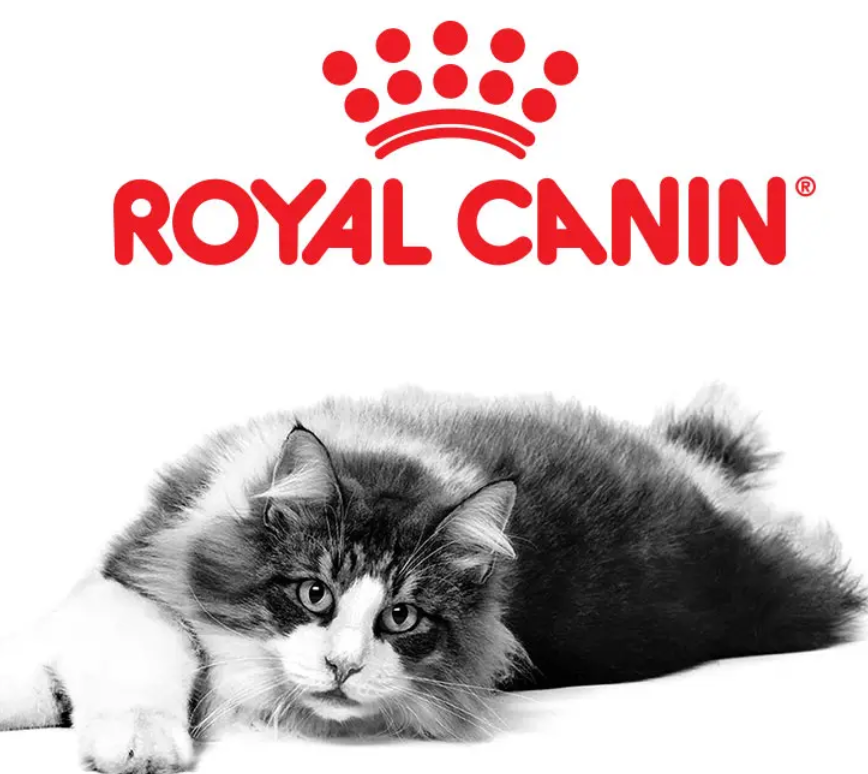 Royal Canin Wet Cat Food