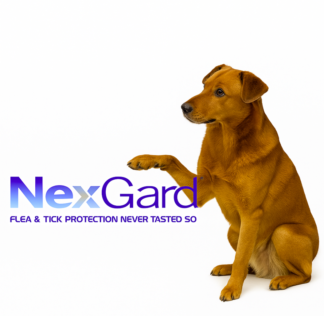 Nexgard