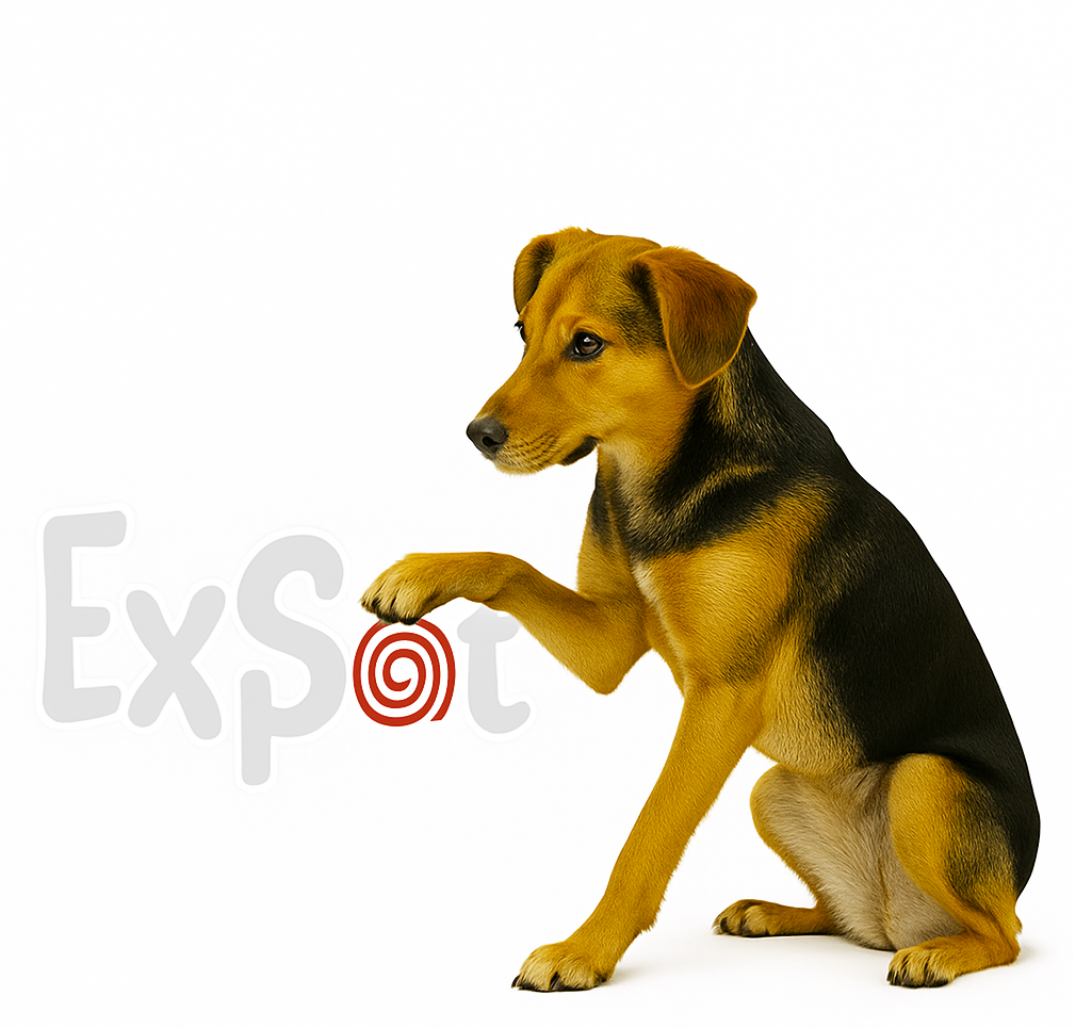 ExSpot