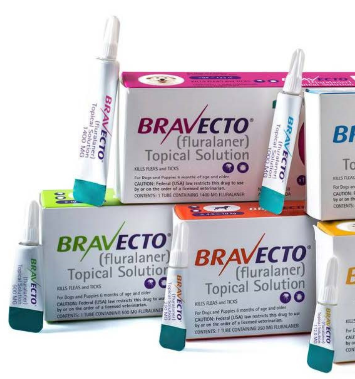 Bravecto Dogs Spot On