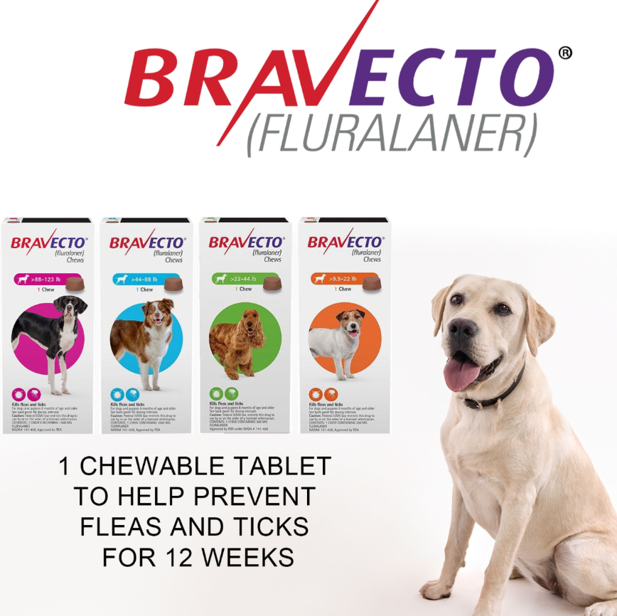 Bravecto Dogs Chewable Tablet