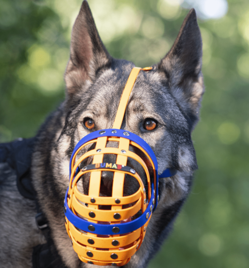 Muzzles