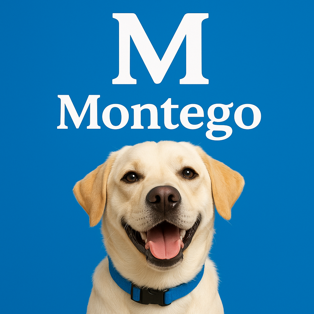 Montego Dry Dog Food