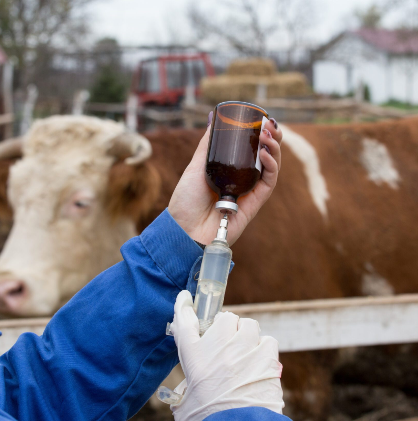 Livestock Vaccines