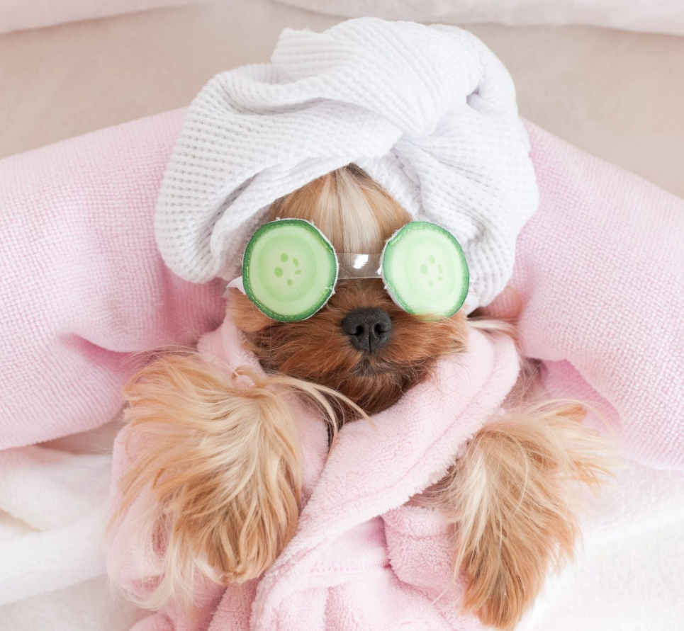 Pamper and Hygiene