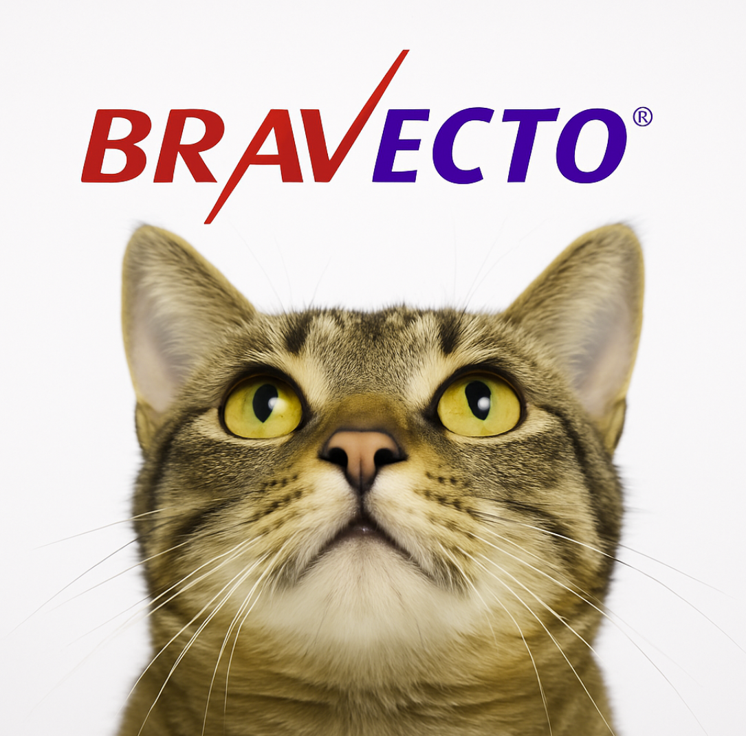 Bravecto