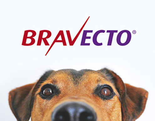 Bravecto (Dogs)