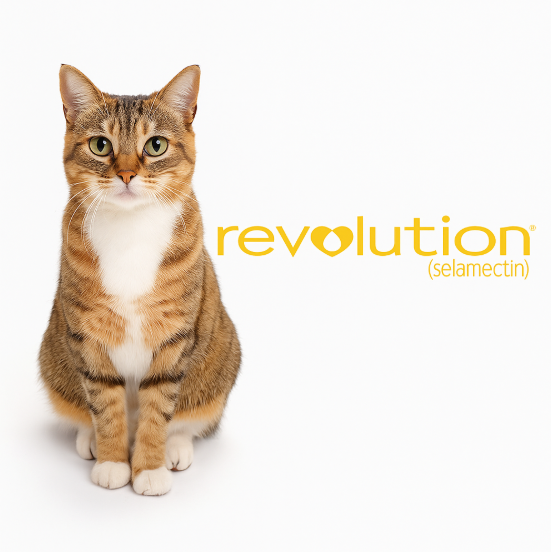 Revolution