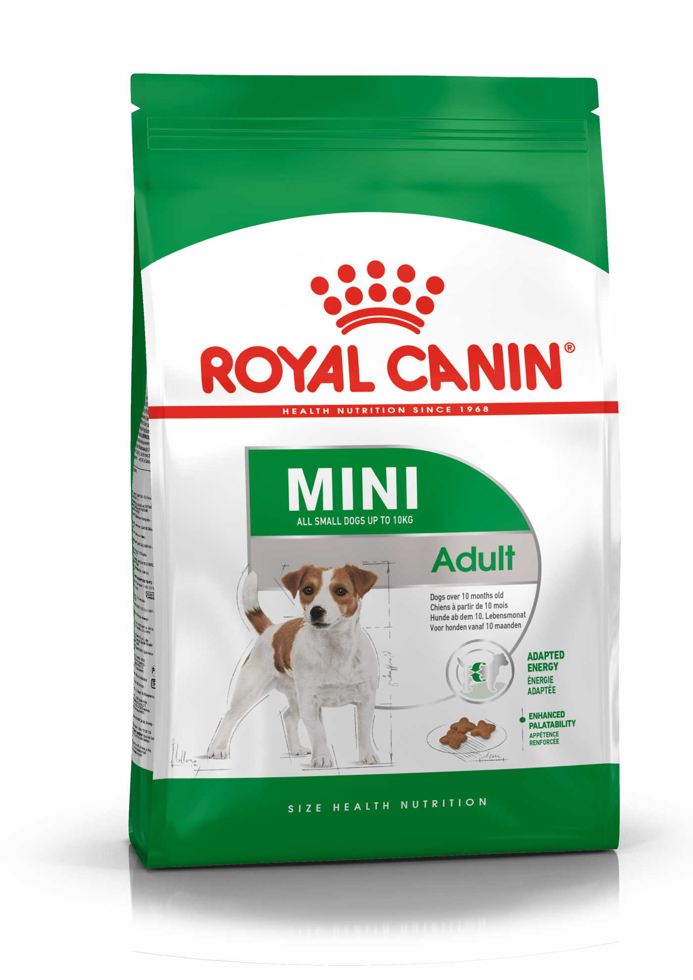 Royal Canin Mini Adult Dry Dog Food