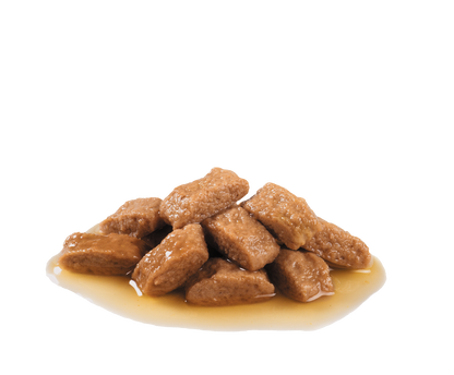 Royal Canin Medium Adult Wet Dog Food