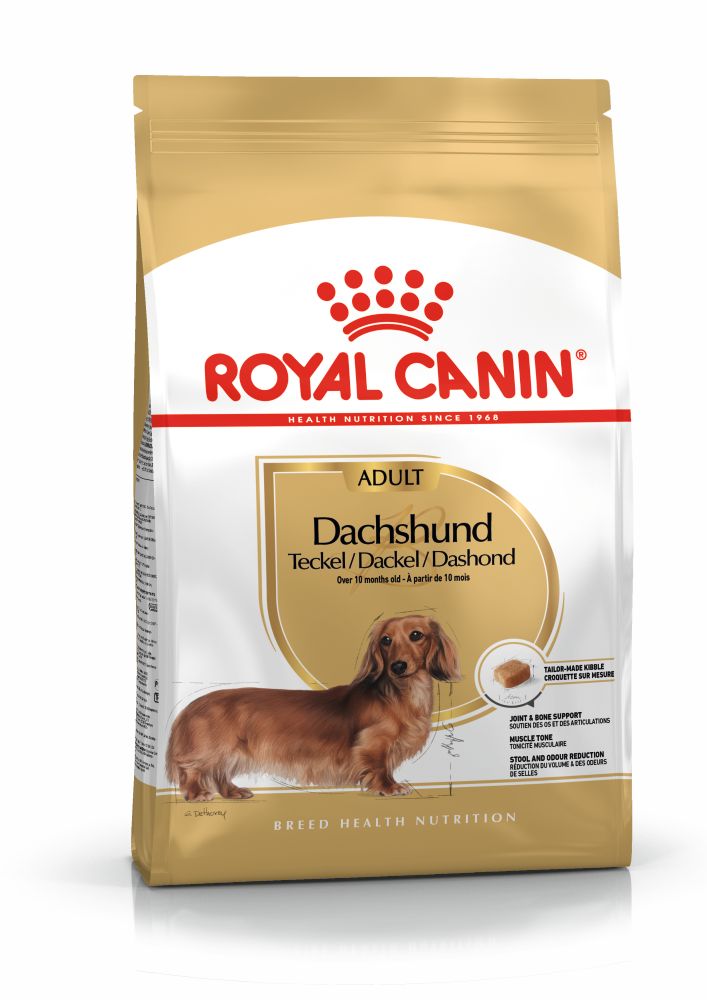 Royal Canin Dachshund Adult Dry Dog Food
