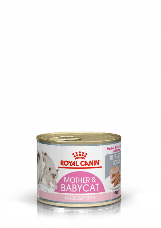 Royal Canin Feline Mother and Babycat Mousse Wet Cat Food