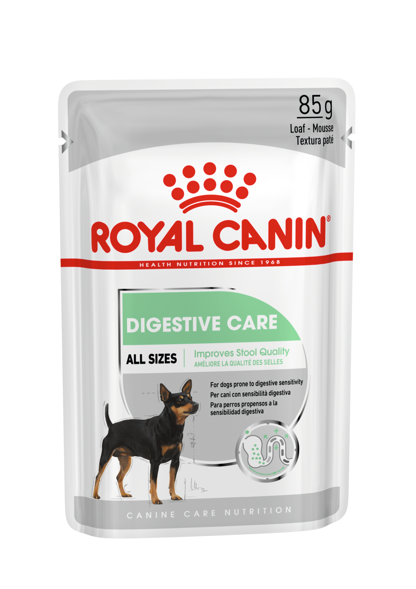Royal Canin Digestive Care Loaf Wet Dog Food