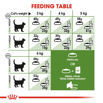 Royal Canin Feline Outdoor Dry Cat Food