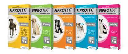 Fiprotec for Dogs 10-20kg