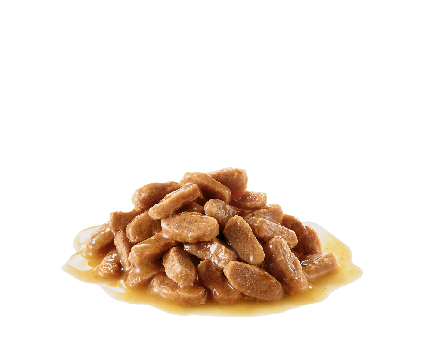 Royal Canin Maxi Puppy Wet Dog Food