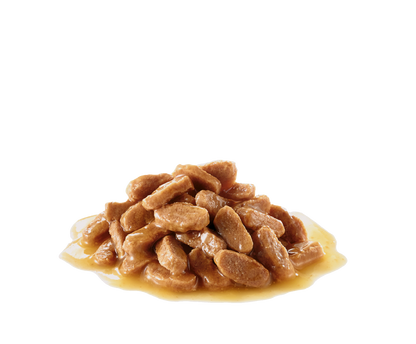 Royal Canin Medium Puppy Wet Dog Food