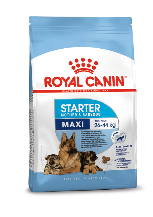 Royal Canin Maxi Starter Mother & Baby Dry Dog Food