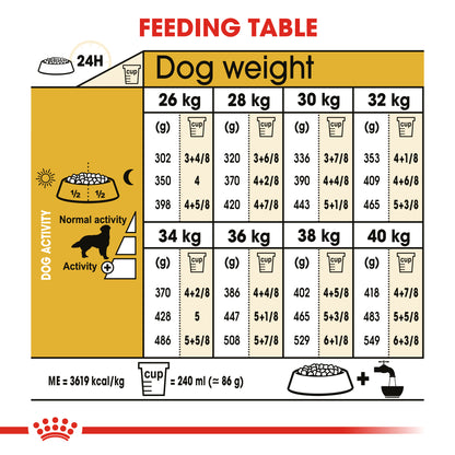 Royal Canin Golden Retriever Adult Dog Food