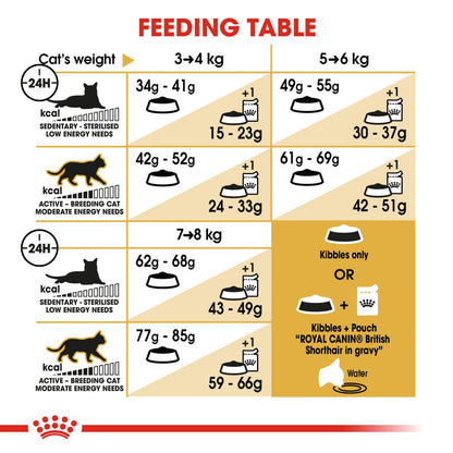 Royal Feline British Shorthair Adult Dry Cat Food