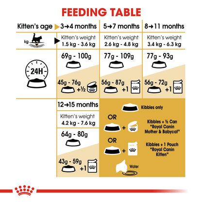 Royal Feline Maine Coon Kitten Dry Cat Food