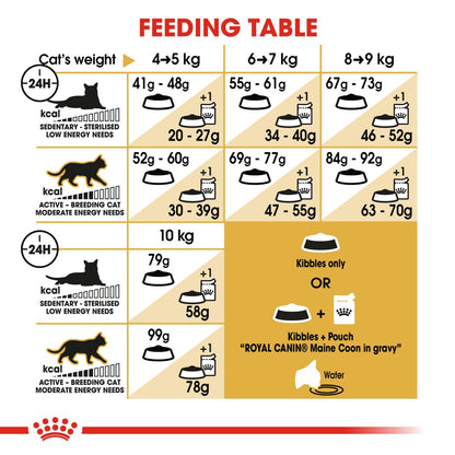Royal Feline Maine Coon Adult Dry Cat Food