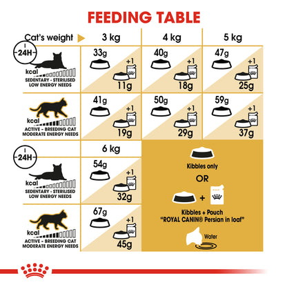 Royal Feline Persian Adult Dry Cat Food