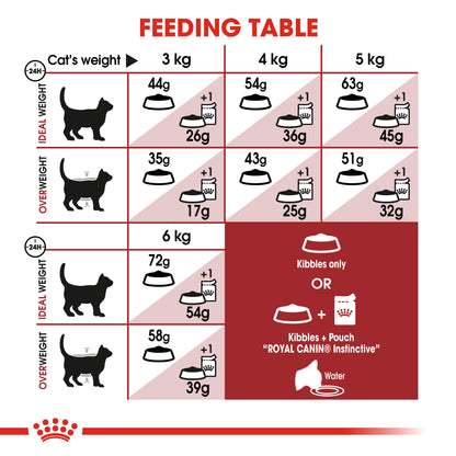 Royal Canin Feline Fit Dry Cat Food