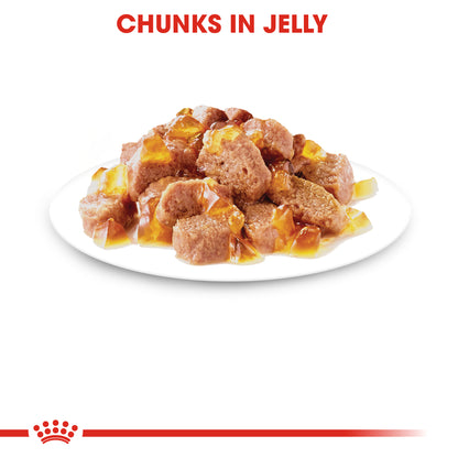 Royal Canin Feline Instinctive in Jelly Wet Cat Food