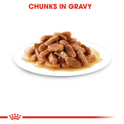 Royal Canin Feline Kitten Instinctive in Gravy Wet Cat Food