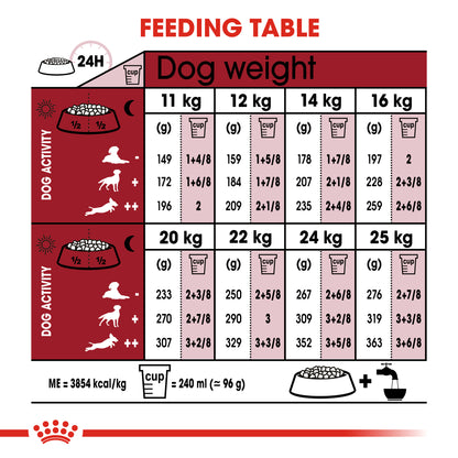 Royal Canin Medium Adult 7+ Dog Food