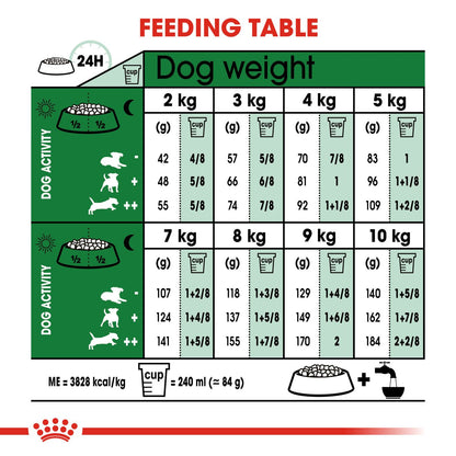 Royal Canin Mini adult 12+ Dry Dog Food