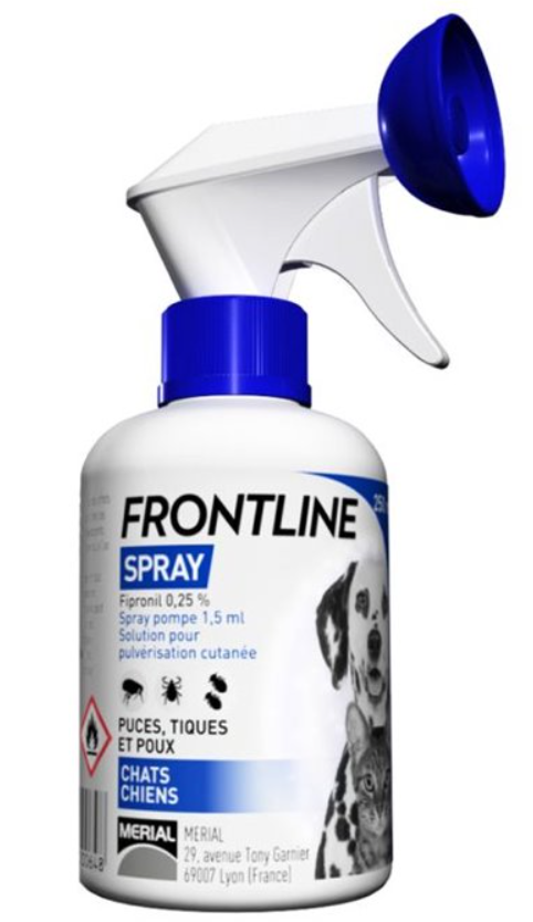 Frontline