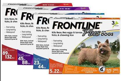 Frontline Plus for Dogs 10-20kg