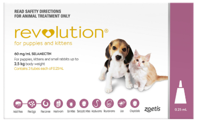 Revolution (Kitten and Puppy)